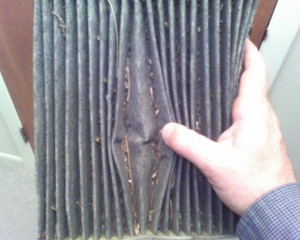 Filthy-Cabin-AC-filter-2